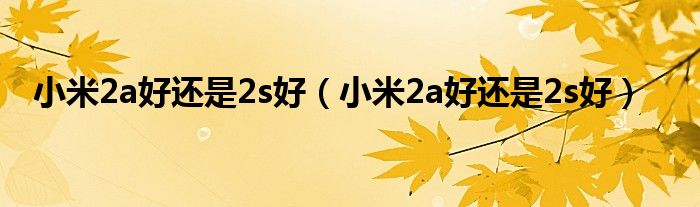 小米2a好还是2s好（小米2a好还是2s好）