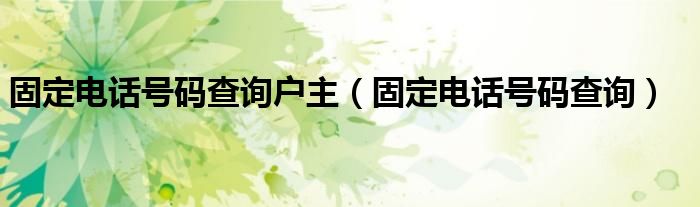 固定电话号码查询户主（固定电话号码查询）