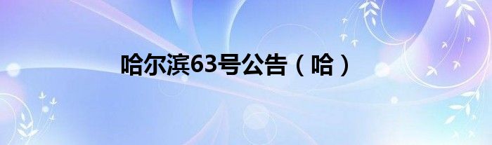 哈尔滨63号公告（哈）