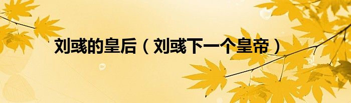 刘彧的皇后（刘彧下一个皇帝）