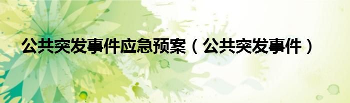 公共突发事件应急预案（公共突发事件）