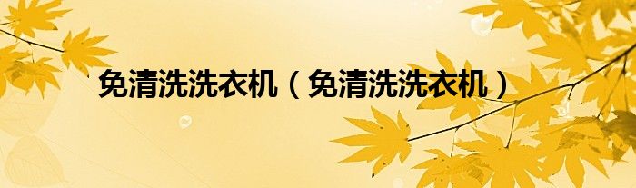 免清洗洗衣机（免清洗洗衣机）