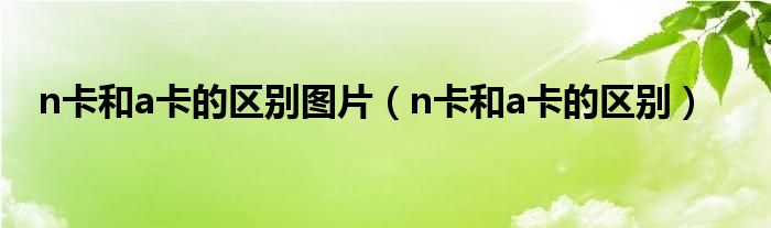 n卡和a卡的区别图片（n卡和a卡的区别）