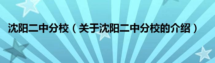 沈阳二中分校（关于沈阳二中分校的介绍）