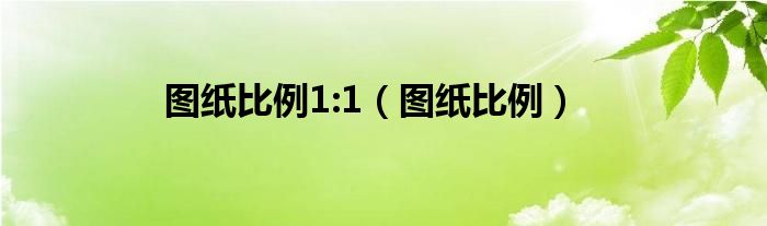 图纸比例1:1（图纸比例）