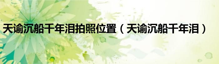 天谕沉船千年泪拍照位置（天谕沉船千年泪）