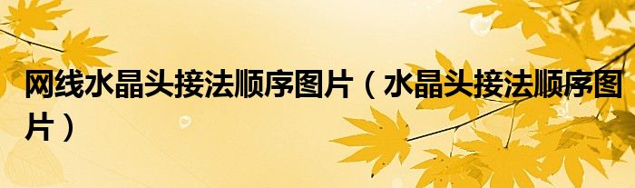 网线水晶头接法顺序图片（水晶头接法顺序图片）