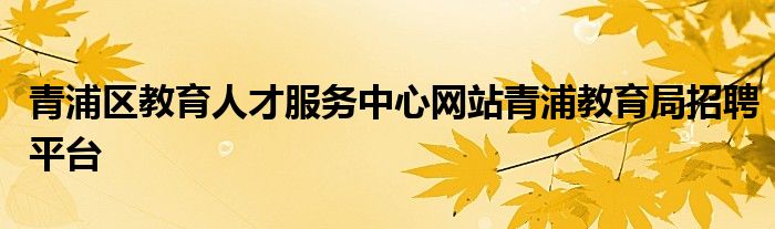 青浦区教育人才服务中心网站青浦教育局招聘平台