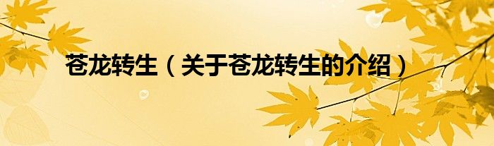 苍龙转生（关于苍龙转生的介绍）