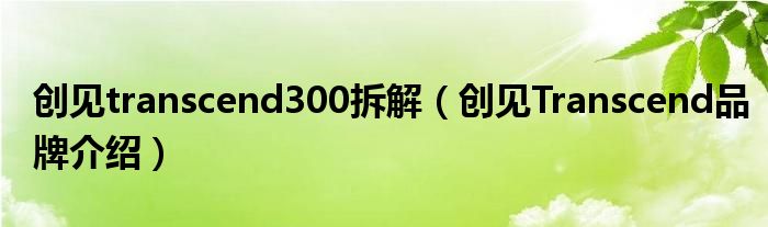 创见transcend300拆解（创见Transcend品牌介绍）