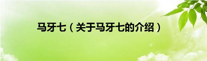 马牙七（关于马牙七的介绍）