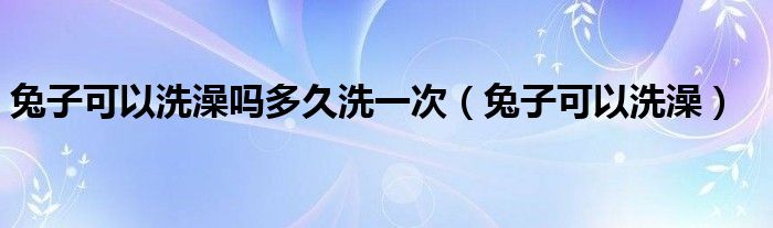 兔子可以洗澡吗多久洗一次（兔子可以洗澡）