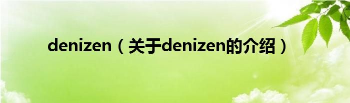 denizen（关于denizen的介绍）
