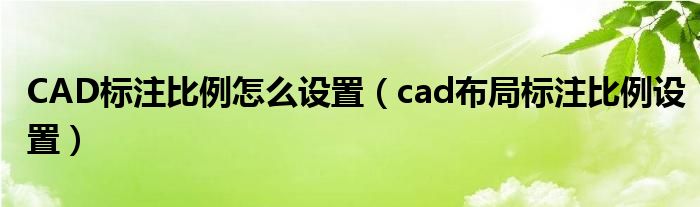 CAD标注比例怎么设置（cad布局标注比例设置）