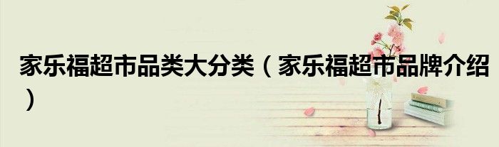 家乐福超市品类大分类（家乐福超市品牌介绍）