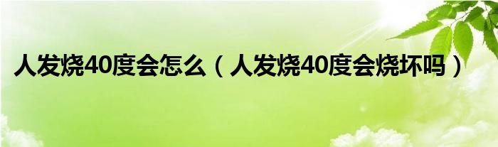 人发烧40度会怎么（人发烧40度会烧坏吗）
