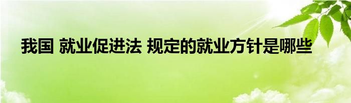 我国 就业促进法 规定的就业方针是哪些