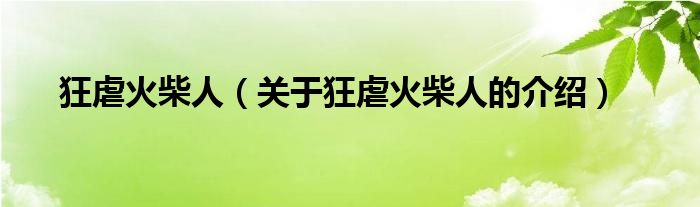 狂虐火柴人（关于狂虐火柴人的介绍）