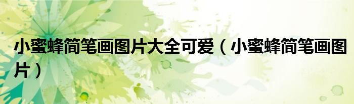 小蜜蜂简笔画图片大全可爱（小蜜蜂简笔画图片）