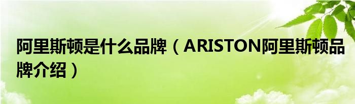 阿里斯顿是什么品牌（ARISTON阿里斯顿品牌介绍）